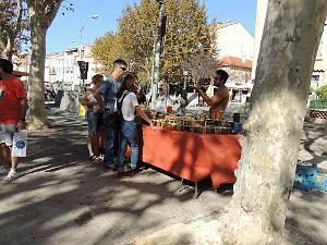 2024 11 02 EN FLANANT SUR SANARY (41)
